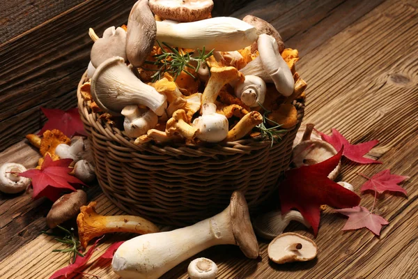 Variety Raw Mushrooms Wooden Table Chanterelle Oyster Other Fresh Mushrooms — Stock Photo, Image