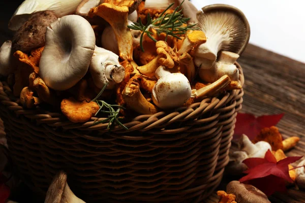 Variété Champignons Crus Sur Table Bois Chanterelle Huître Autres Champignons — Photo