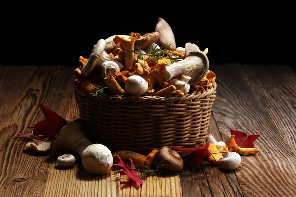 木桌上的生蘑菇品种繁多 鸡油菌 牡蛎和其他新鲜蘑菇 — 图库照片