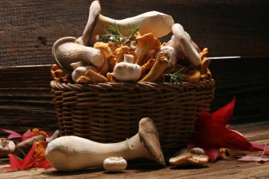 ahşap masa üzerinde ham mantar çeşididir. Cantharellus cibarius, istiridye ve diğer taze mantar
