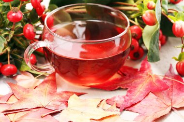 Çay. Bitkisel köpek rose çay ile grup şube Kuşburnu, Rosa canina kalça türleri. Şifalı bitkiler ve otlar kompozisyon