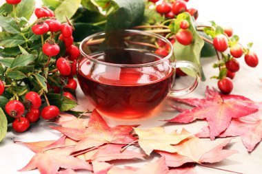 Çay. Bitkisel köpek rose çay ile grup şube Kuşburnu, Rosa canina kalça türleri. Şifalı bitkiler ve otlar kompozisyon