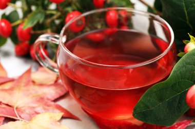 Çay. Bitkisel köpek rose çay ile grup şube Kuşburnu, Rosa canina kalça türleri. Şifalı bitkiler ve otlar kompozisyon