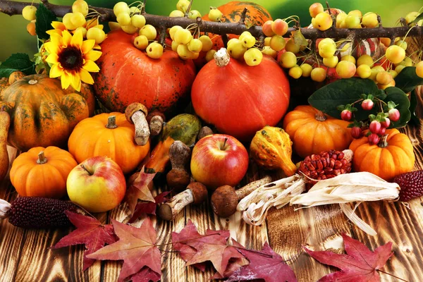 Concepto Naturaleza Otoñal Caída Frutas Verduras Madera Cena Acción Gracias —  Fotos de Stock