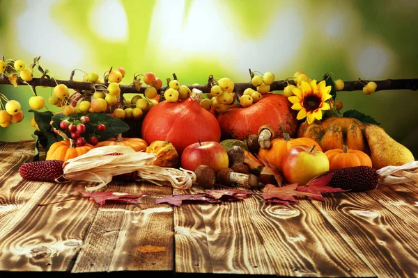 Autumn Nature Concept Fall Fruit Vegetables Wood Thanksgiving Dinner Pears Royalty Free Stock Photos