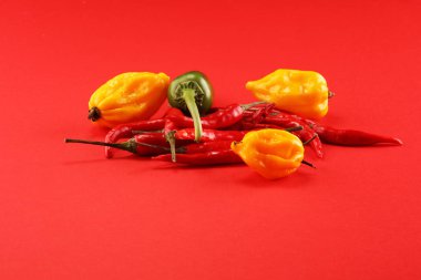 kırmızı sıcak kuş chili biber düz kırmızı arka plan üzerinde yatıyordu