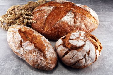 Ekmek ve ekmek çeşitleri gemide yukarıdan alır. Mutfak veya fırın poster tasarımı.