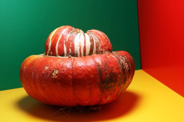 turuncu renkli arka plan üzerinde kabak. Sonbaharda hasat