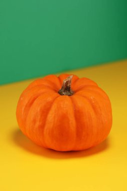 turuncu renkli arka plan üzerinde kabak. Sonbaharda hasat