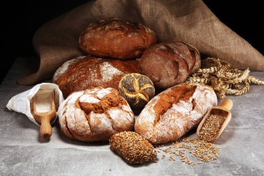 Ekmek ve ekmek çeşitleri gemide yukarıdan alır. Mutfak veya fırın poster tasarımı.