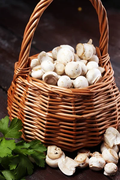 在质朴的餐桌上生鲜蘑菇 白鲜蘑菇 — 图库照片