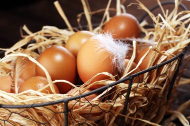 Yumurta. Sepet içinde taze çiftlik yumurtaları. Tüy konsepti ile Paskalya yortusu yumurta