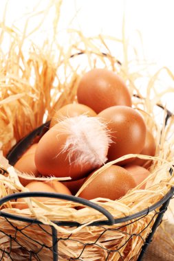 Yumurta. Sepet içinde taze çiftlik yumurtaları. Tüy konsepti ile Paskalya yortusu yumurta