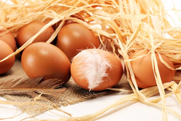 Yumurta. Taze çiftlik yumurtaları. Tüy konsepti ile Paskalya yortusu yumurta