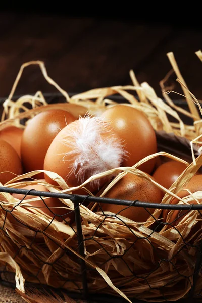 Egg. Fresh farm eggs in basket. Easter egg with feather concept