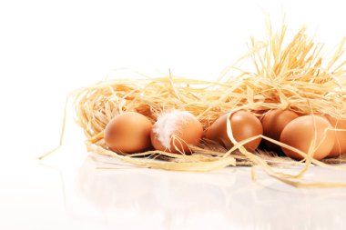 Yumurta. Taze çiftlik yumurtaları. Tüy konsepti ile Paskalya yortusu yumurta