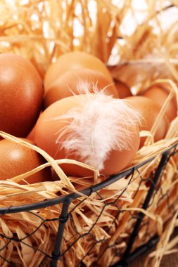 Yumurta. Sepet içinde taze çiftlik yumurtaları. Tüy konsepti ile Paskalya yortusu yumurta