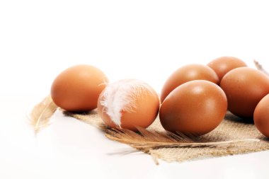 Yumurta. Taze çiftlik yumurtaları. Tüy konsepti ile Paskalya yortusu yumurta