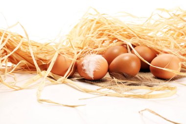 Yumurta. Taze çiftlik yumurtaları. Tüy konsepti ile Paskalya yortusu yumurta