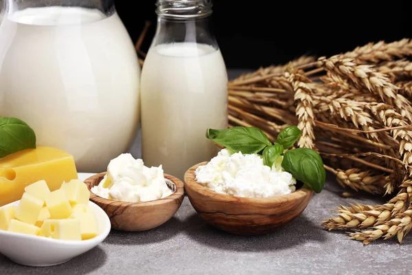 Productos lácteos - sabrosos productos lácteos saludables y tarro de leche y ch —  Fotos de Stock