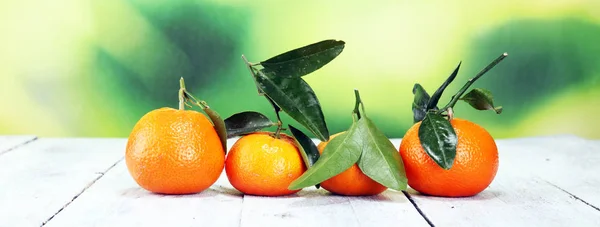 Frische reife Tangarinen, Lebensmittel Nahaufnahme mit Clementine — Stockfoto