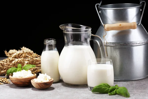 Produtos lácteos. produtos lácteos saudáveis saborosos em uma mesa. Cre azedo — Fotografia de Stock