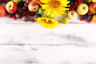 Sonbahar doğa konsepti. Üzüm, erik ve güneş akımı ile Sonbahar meyve