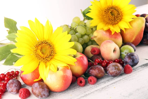 Autumn nature concept. Fall fruit with grapes, plums and sunflow — Stock Photo, Image