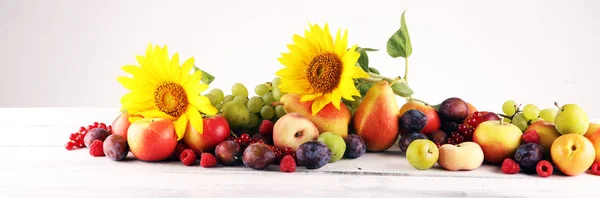 Conceptul de toamnă natură. Fructe de toamnă cu struguri, prune și fluxul de soare — Fotografie, imagine de stoc