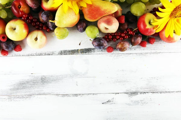 Conceito de natureza outono. Queda de frutas com uvas, ameixas e sunflow — Fotografia de Stock
