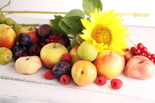 Concepto de naturaleza otoñal. Fruta de otoño con uvas, ciruelas y flujo de sol — Foto de Stock