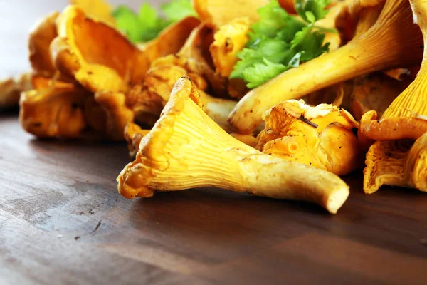 Champignons chanterelles sauvages crus. Composition aux champignons sauvages — Photo