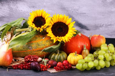 Sonbahar doğa kavramı. Sonbahar meyve ve sebze ahşap üzerine. Teşekkürler