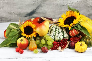 Sonbahar doğa kavramı. Sonbahar meyve ve sebze ahşap üzerine. Teşekkürler