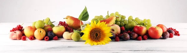 秋天自然概念。秋天的水果与葡萄，李子和阳光 — 图库照片