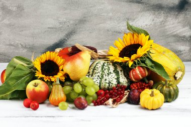 Sonbahar doğa kavramı. Sonbahar meyve ve sebze ahşap üzerine. Teşekkürler