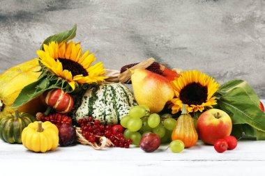 Sonbahar doğa kavramı. Sonbahar meyve ve sebze ahşap üzerine. Teşekkürler