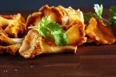 Çiğ mantar mantarı. Yaban mantarlı kompozisyon