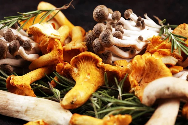 Různé syrové houby na dřevěném tmavém stole. ústřice a jiné — Stock fotografie