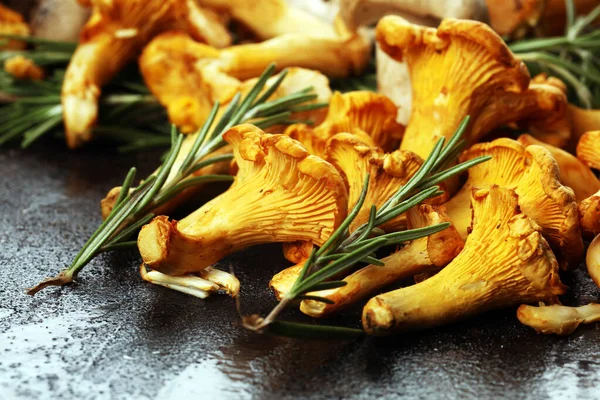 Variété de champignons crus sur table noire en bois. huîtres et autres — Photo