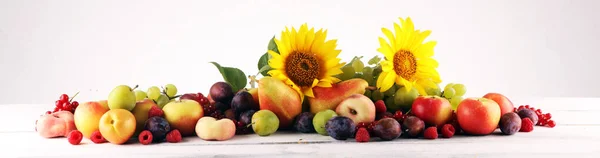 Conceito de natureza outono. Queda de frutas com uvas, ameixas e sunflow — Fotografia de Stock