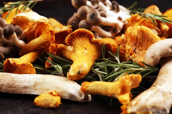 Різноманітність сирих грибів на дерев'яному темному столі. устриця та інші — стокове фото