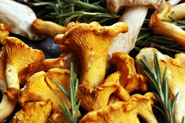 Různé syrové houby na dřevěném tmavém stole. ústřice a jiné — Stock fotografie