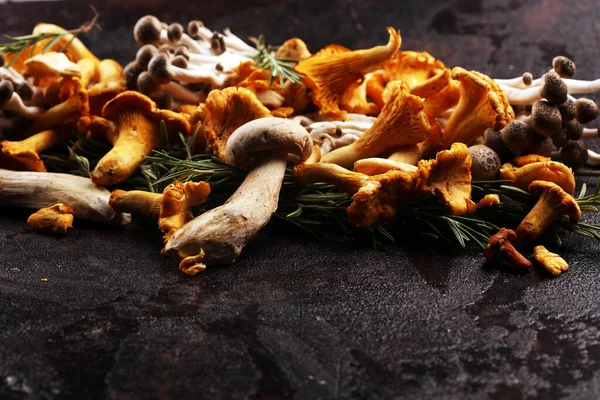 Разнообразие сырых грибов на деревянном темном столе. устрицы и другие — стоковое фото