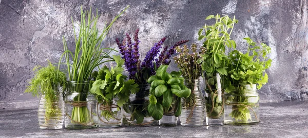 Various Fresh herbs in glasses on a rustic background. Basil, sage, thyme, oregano, dill, chives, parsley and coriander.