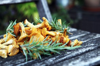 Çiğ mantar mantarı. Yaban mantarlı kompozisyon.