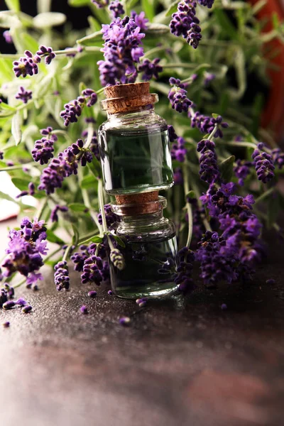 Sağlıklı aromaterapi masaj konsepti için taze lavanta çiçekleriyle birlikte cam lavanta yağı şişesi.. 