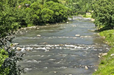 Görünüm Prut Nehri, Ukrayna.