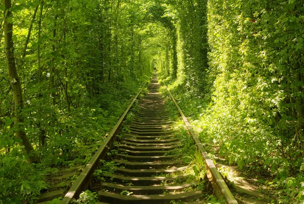 Aşk, Rivne, Ukrayna tüneli,