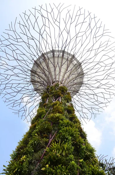 Singapur Marzo 2017 Jardines Por Bahía —  Fotos de Stock